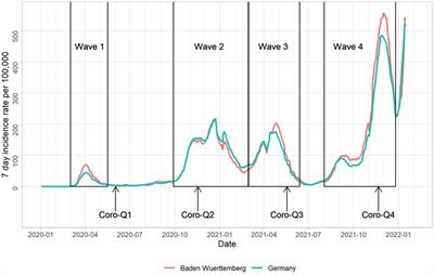 Longitudinal dynamics of depression in risk groups of older individuals during the COVID-19 pandemic
